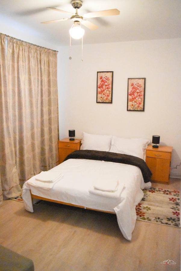 Spacious And Cozy 3Bd+Terrace Couples Apartment Timişoara Exterior foto