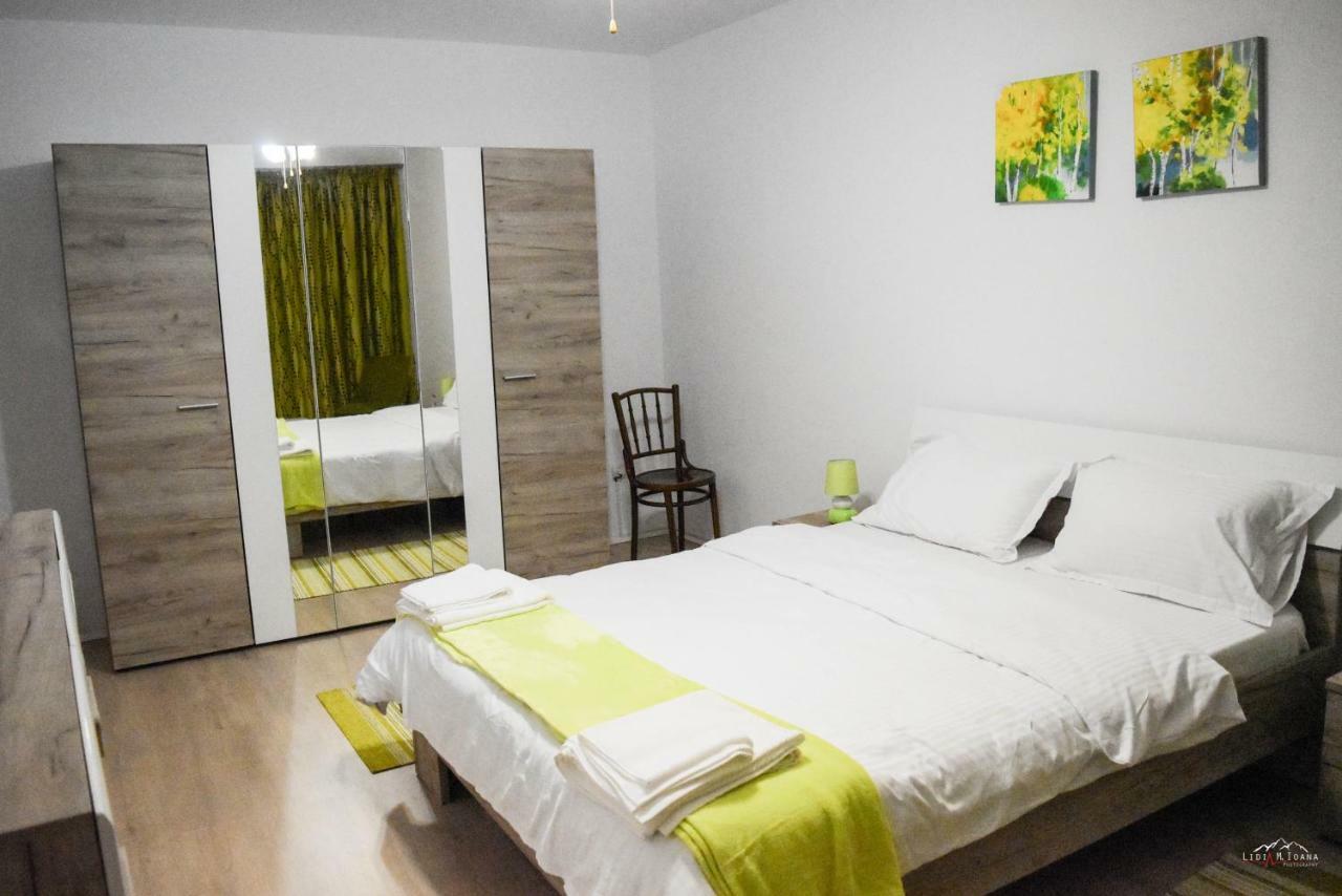 Spacious And Cozy 3Bd+Terrace Couples Apartment Timişoara Exterior foto